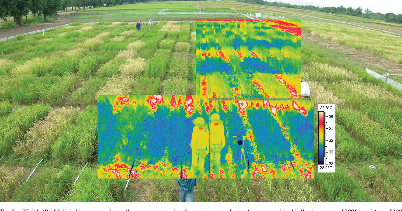 Applications of Thermal Imaging in Agriculture